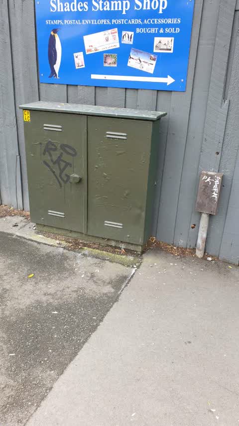 Graffiti — a report photo