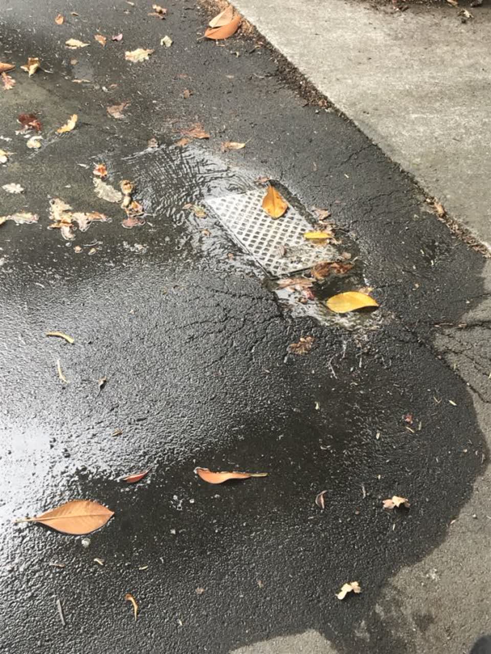 The photograph attached to this water supply report