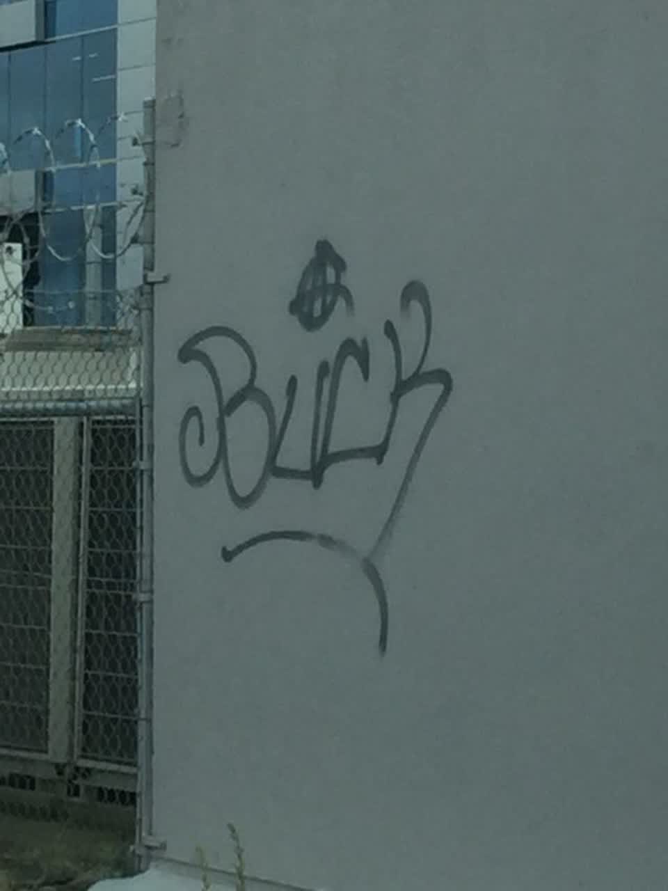 The photograph attached to this graffiti report