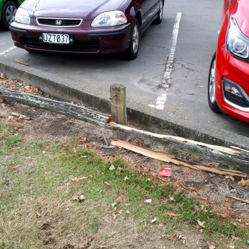 The photograph attached to this parks report