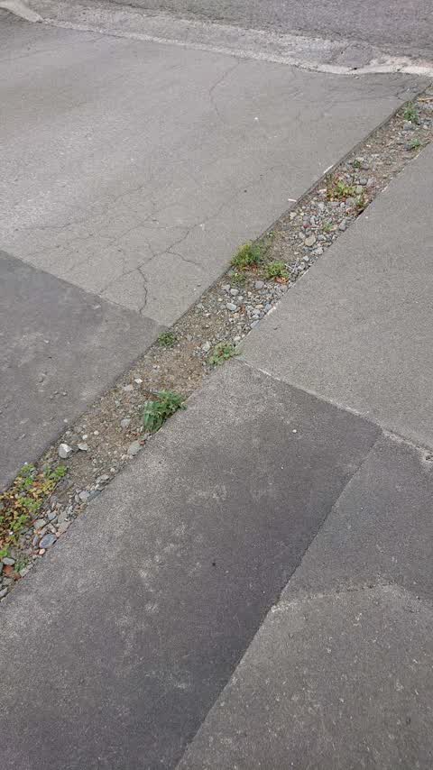 Roading/Streets, a report photo