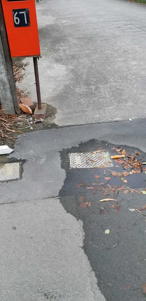 Water Supply, a report photo