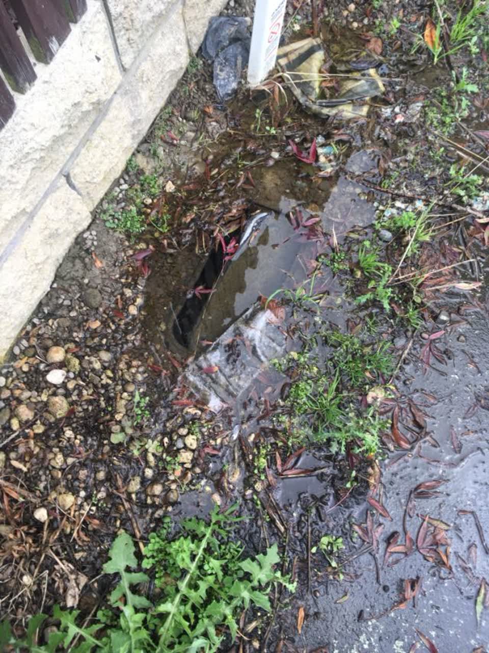 The photograph attached to this water supply report