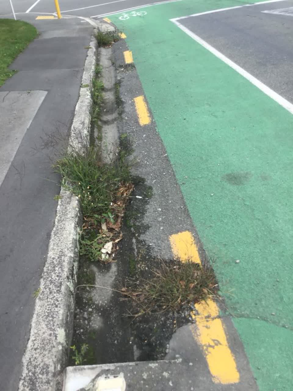 The photograph attached to this wastewater/stormwater report