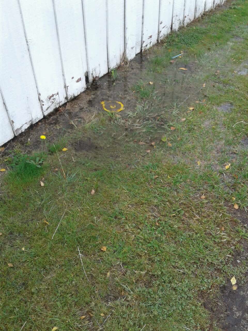 The photograph attached to this water supply report