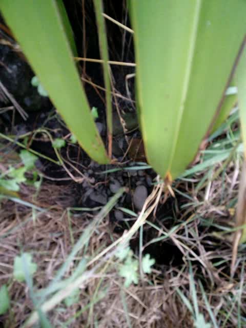 Wastewater/Stormwater, a report photo