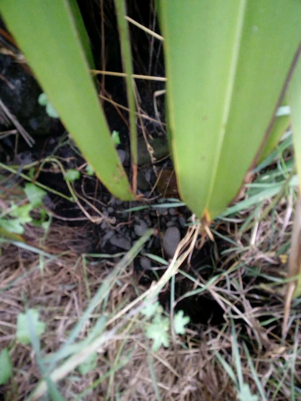The photograph attached to this wastewater/stormwater report
