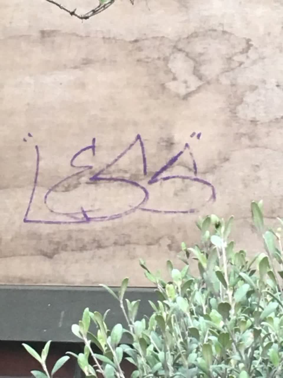 The photograph attached to this graffiti report