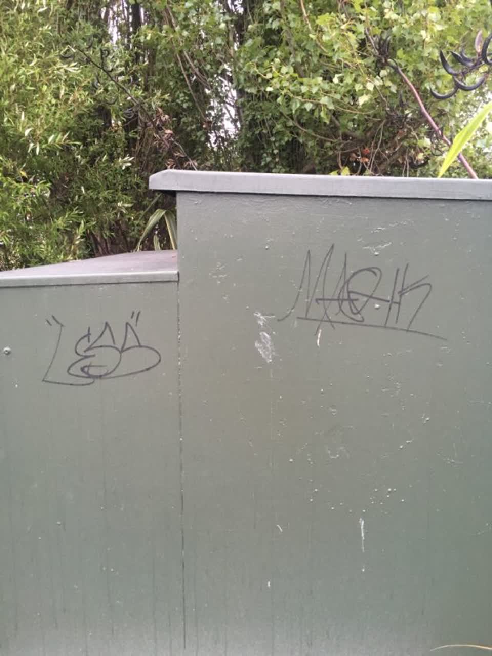 The photograph attached to this graffiti report