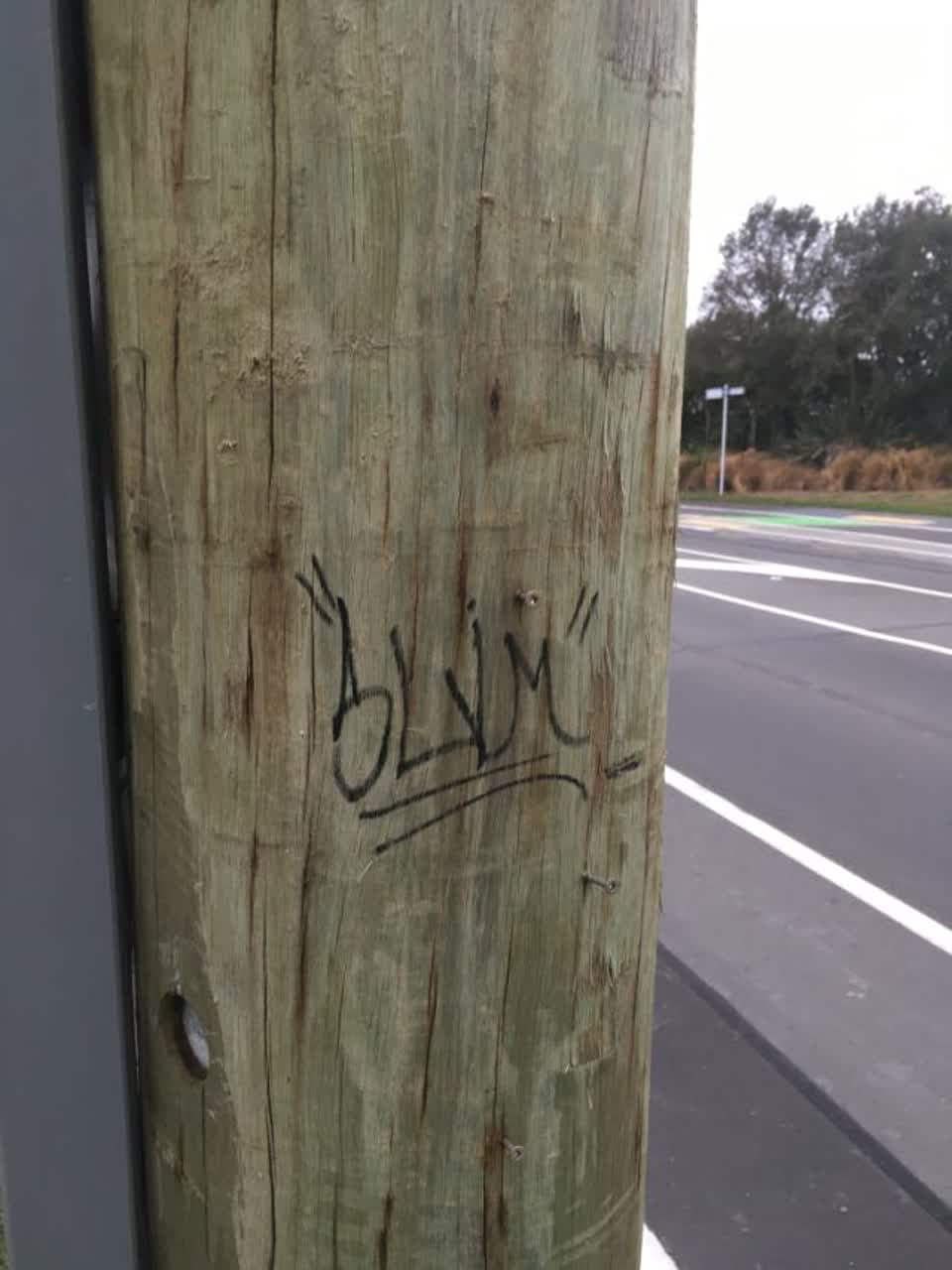 The photograph attached to this graffiti report