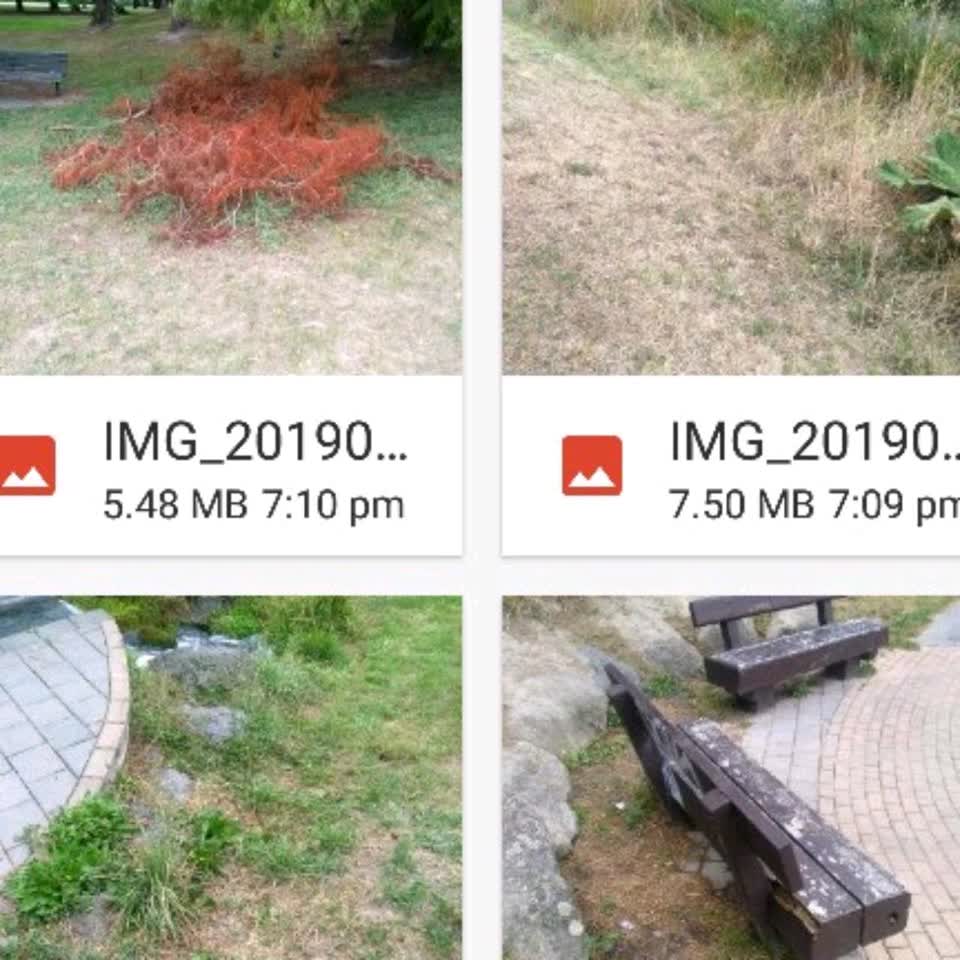 The photograph attached to this parks report