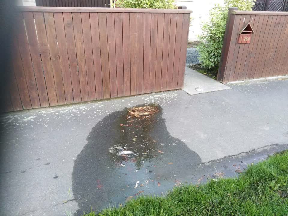 The photograph attached to this water supply report