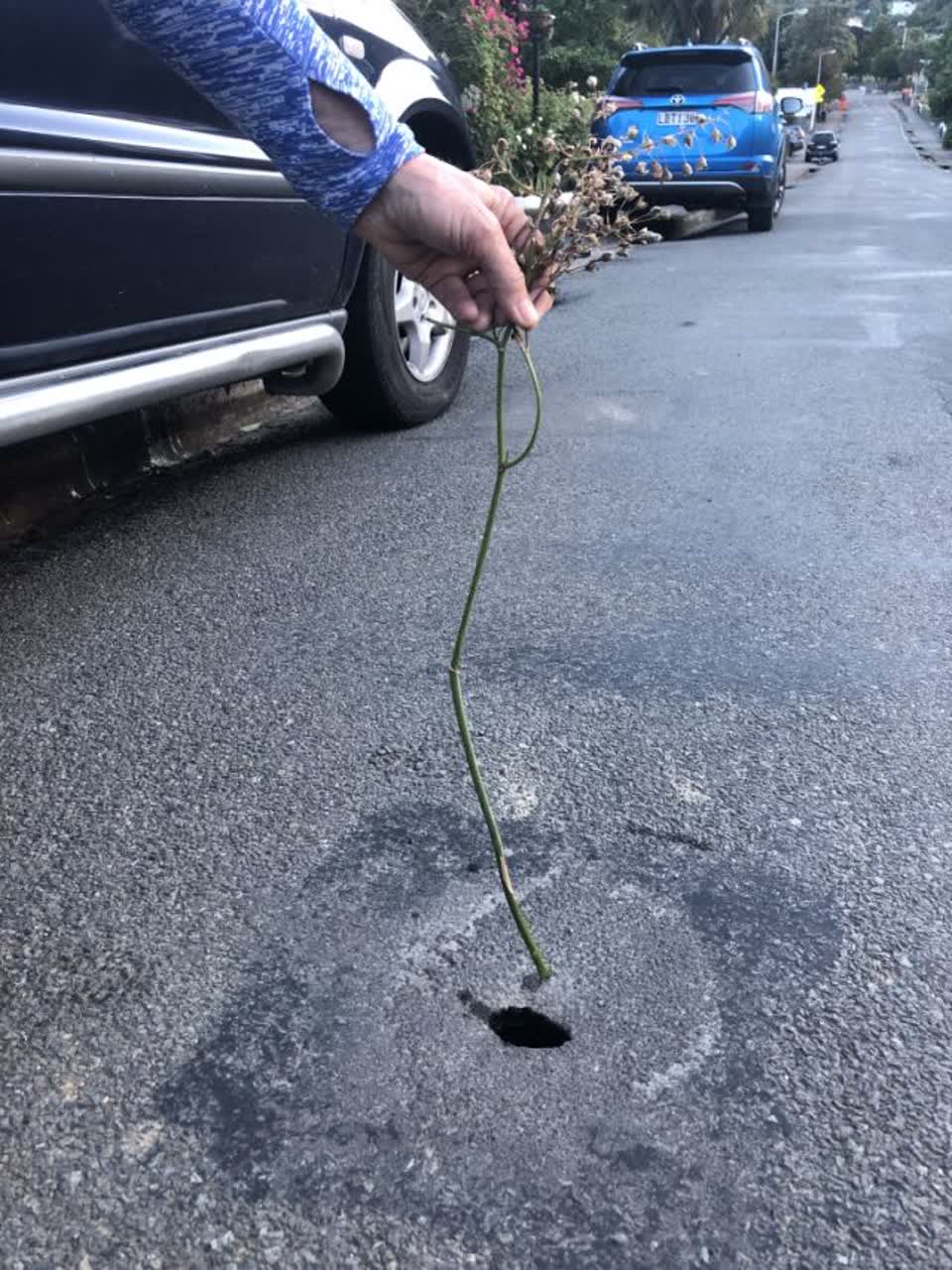 The photograph attached to this roading/streets report