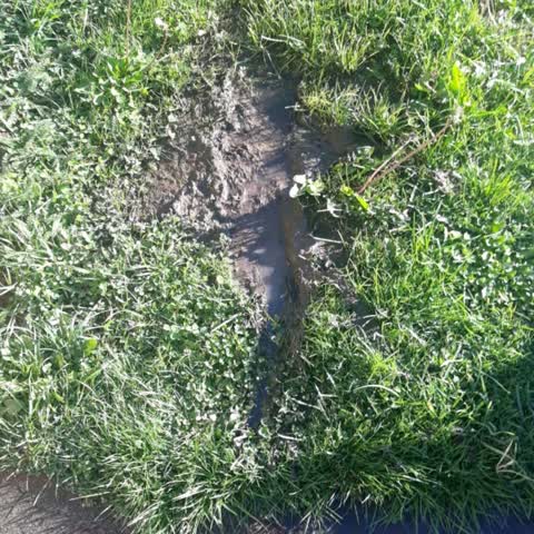 Roading/Streets, a report photo