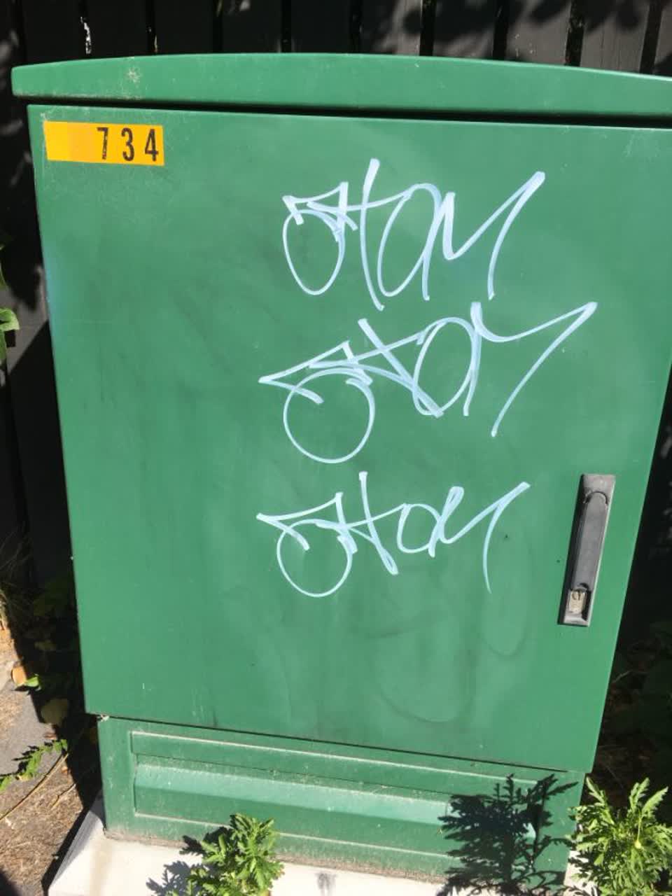 The photograph attached to this graffiti report