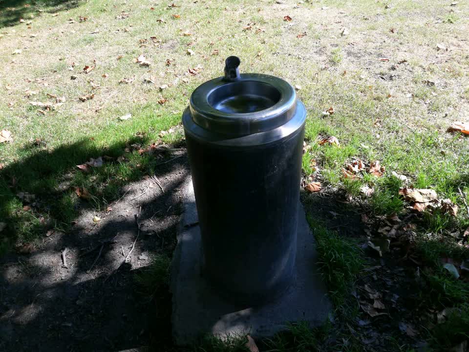 The photograph attached to this parks report