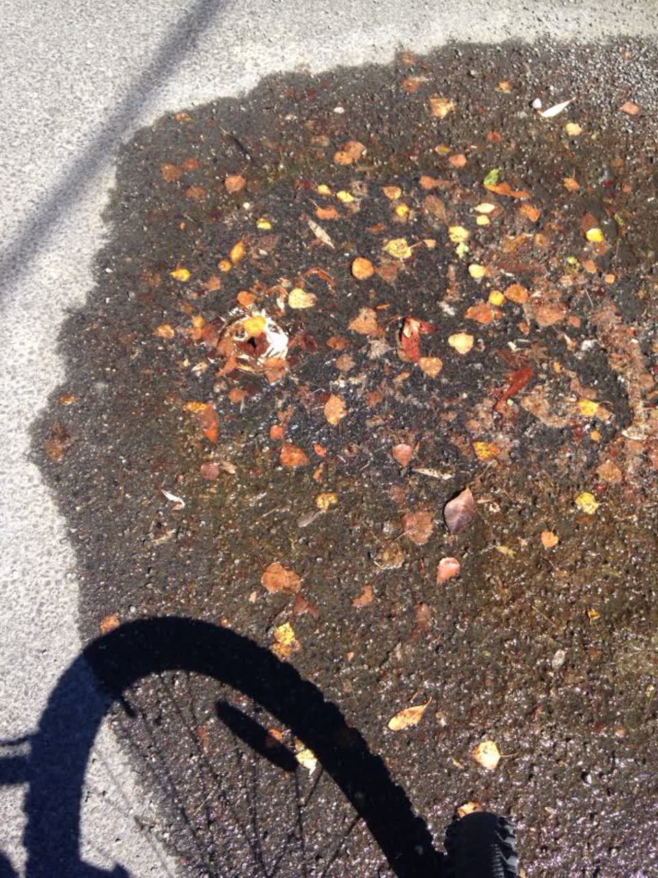 The photograph attached to this water supply report