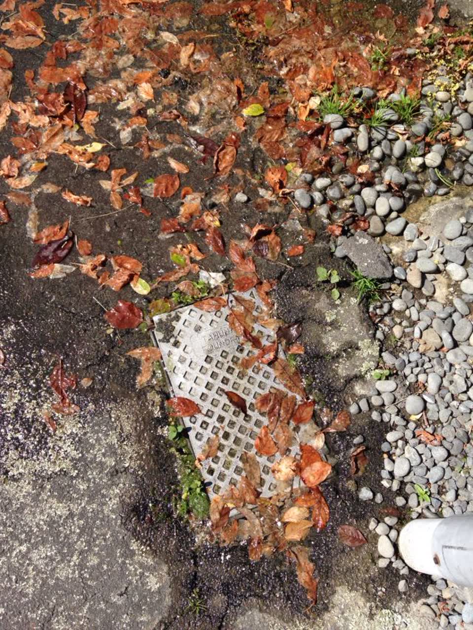 The photograph attached to this water supply report