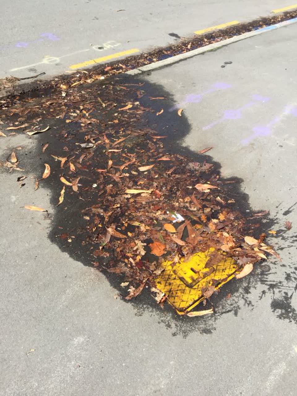 The photograph attached to this water supply report