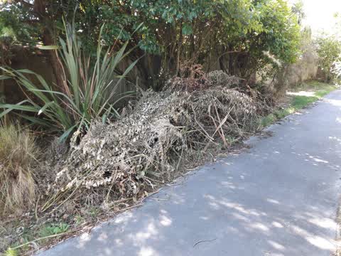 Parks, a report photo