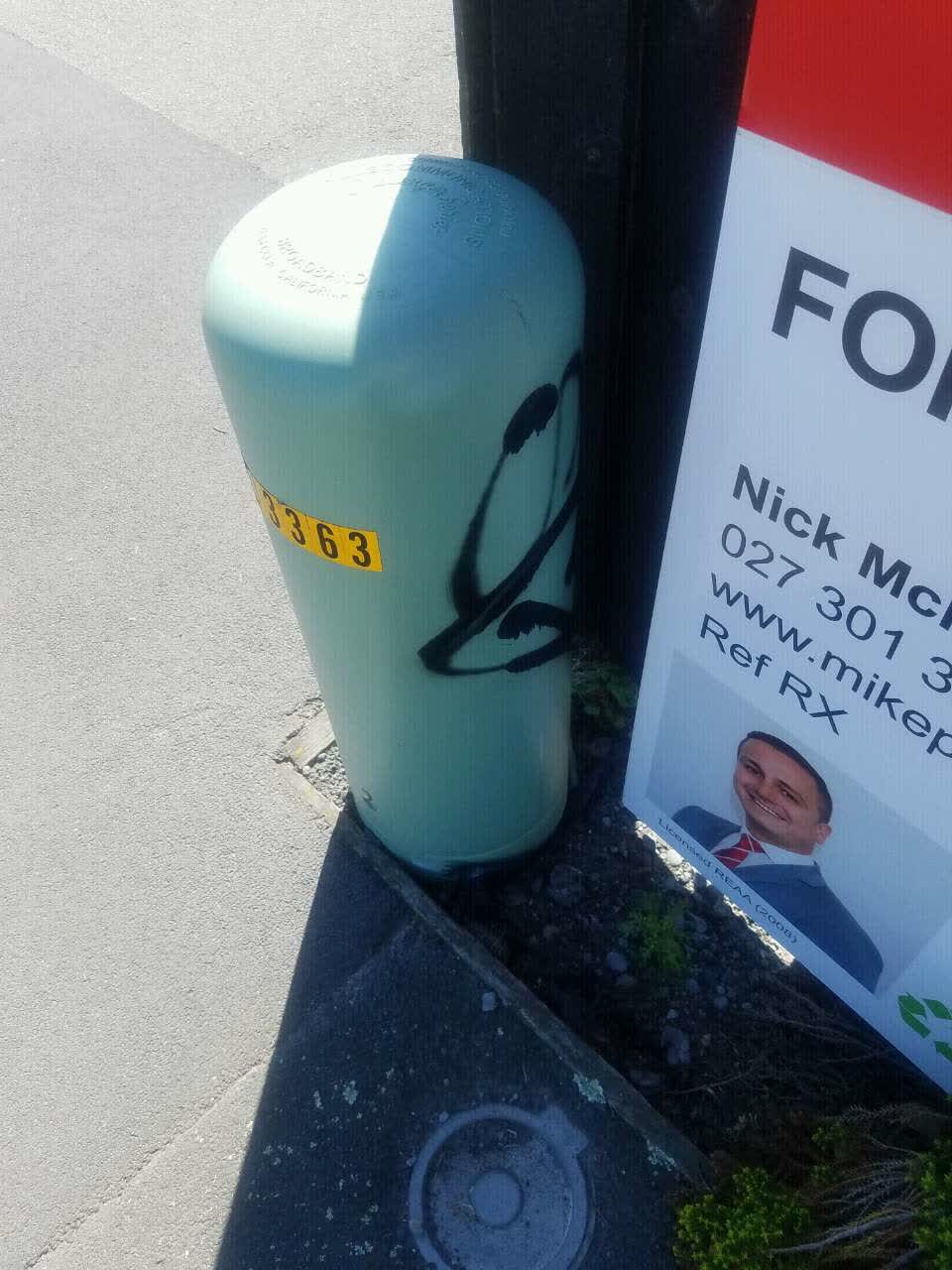 The photograph attached to this graffiti report