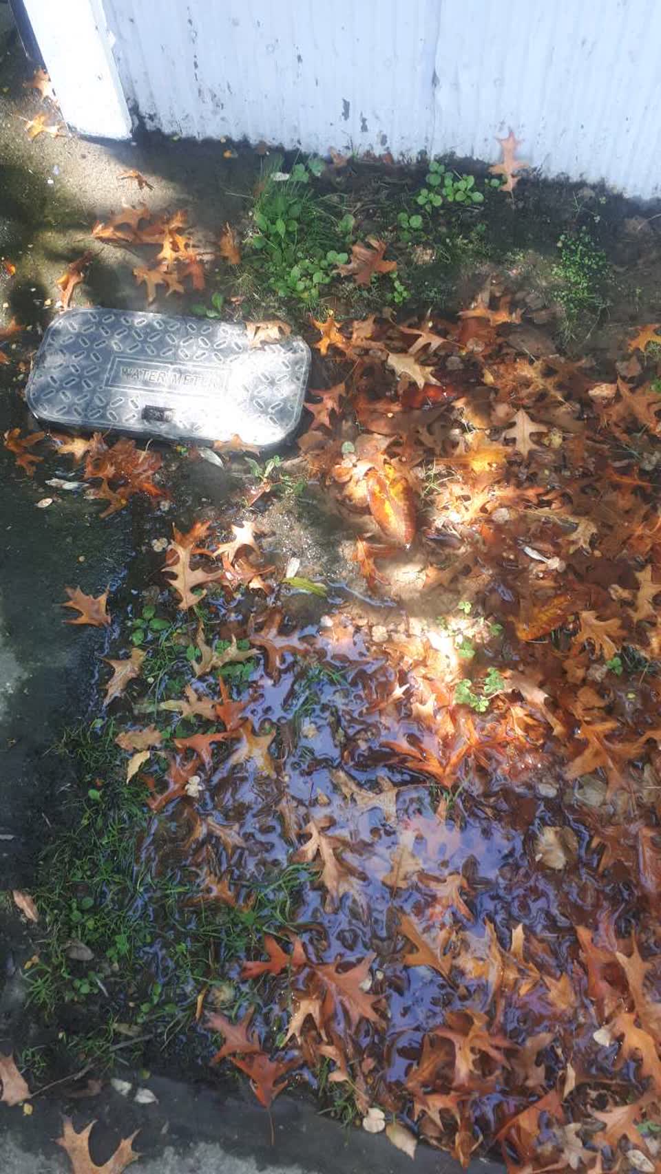 The photograph attached to this water supply report