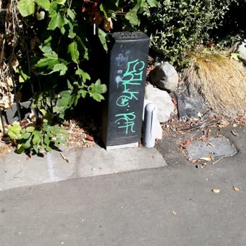 Graffiti, a report photo