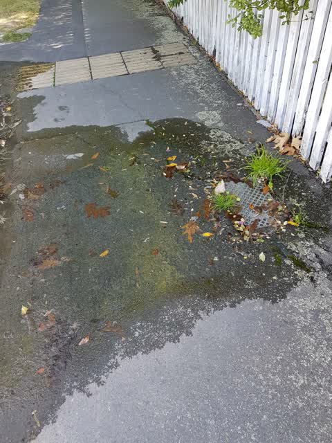 Water Supply, a report photo
