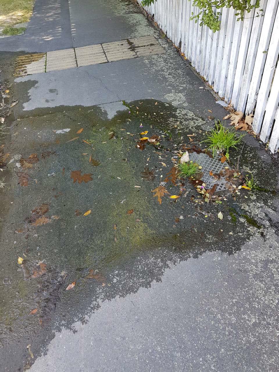The photograph attached to this water supply report
