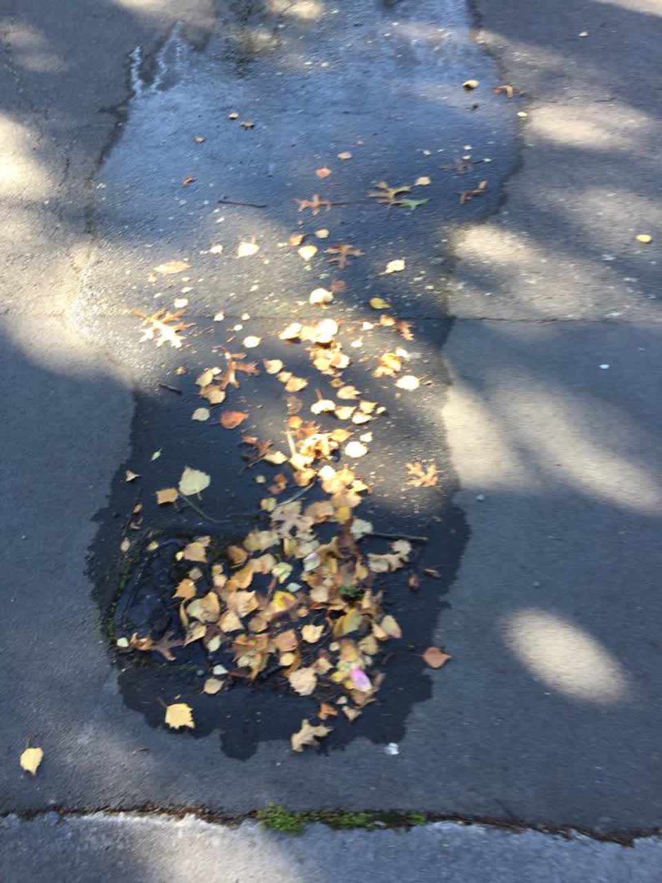 The photograph attached to this water supply report