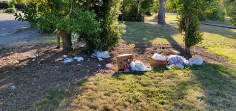 Rubbish/Recycling, a report photo