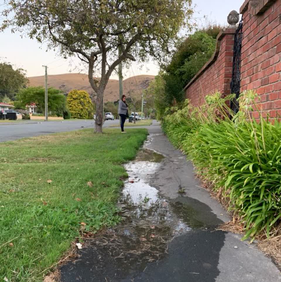 The photograph attached to this water supply report