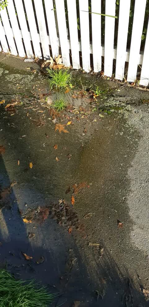 Water Supply, a report photo