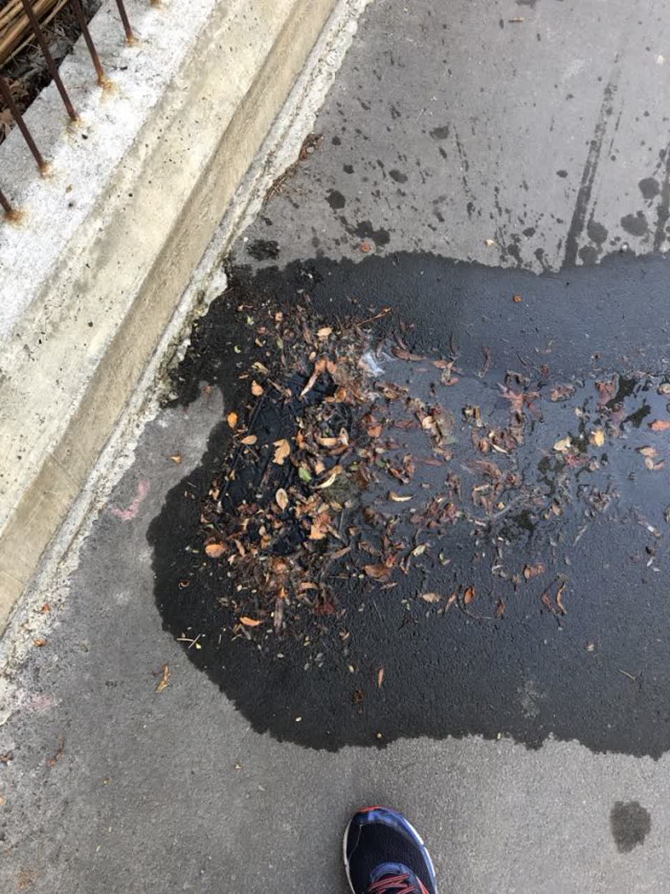 The photograph attached to this wastewater/stormwater report