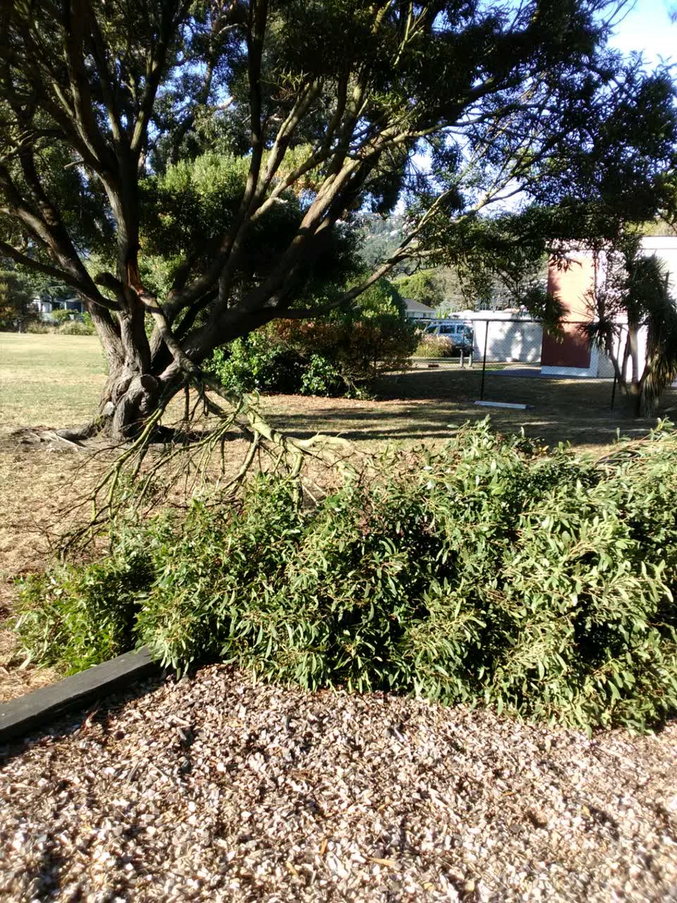 The photograph attached to this parks report