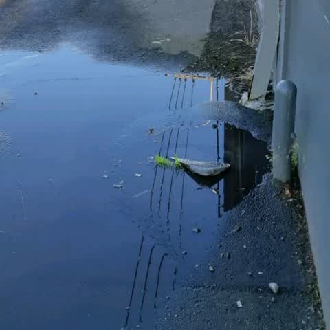 Flooding, a report photo