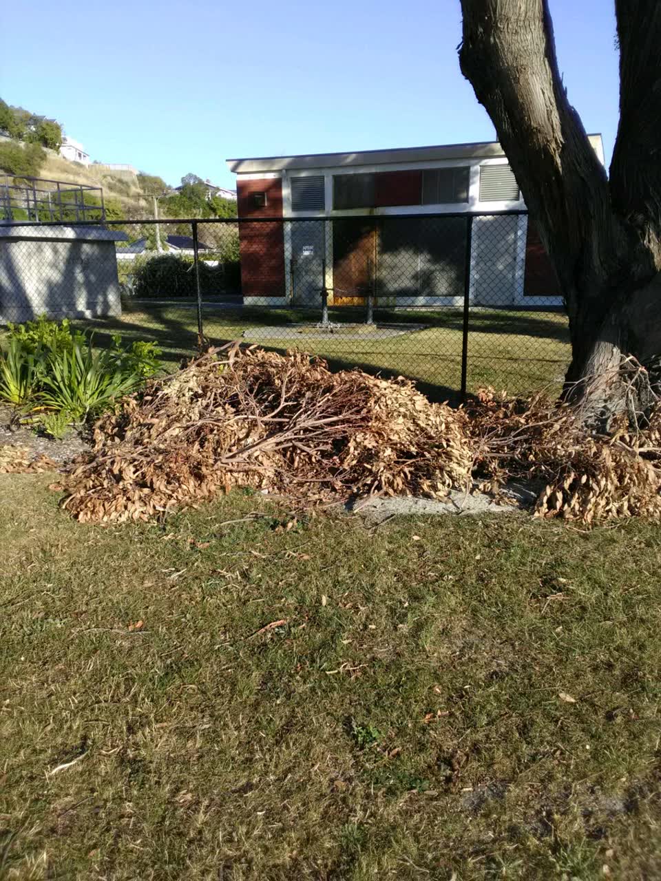 The photograph attached to this parks report