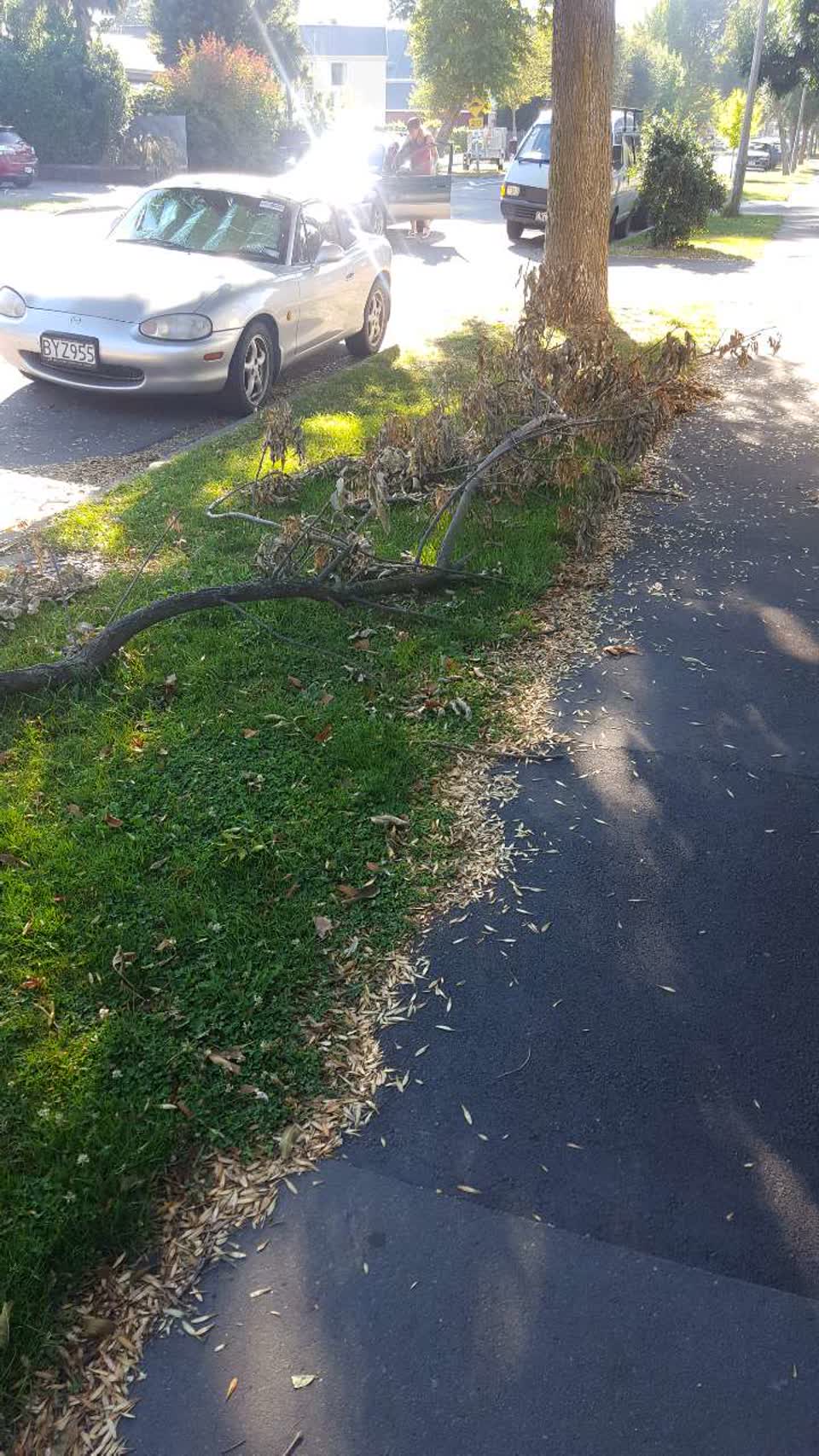The photograph attached to this roading/streets report