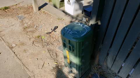 Graffiti — a report photo