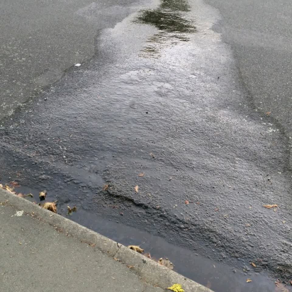 The photograph attached to this water supply report