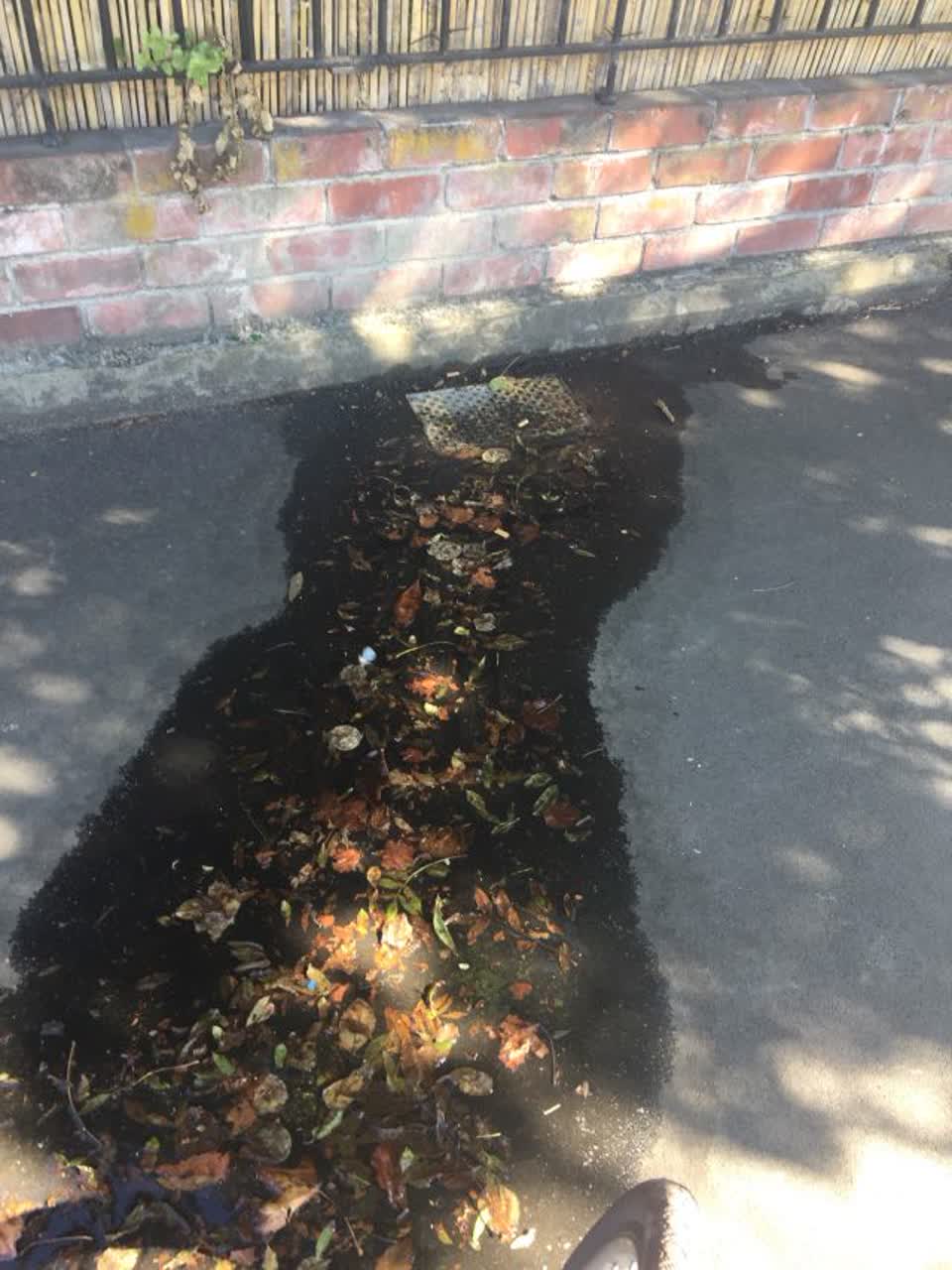 The photograph attached to this water supply report