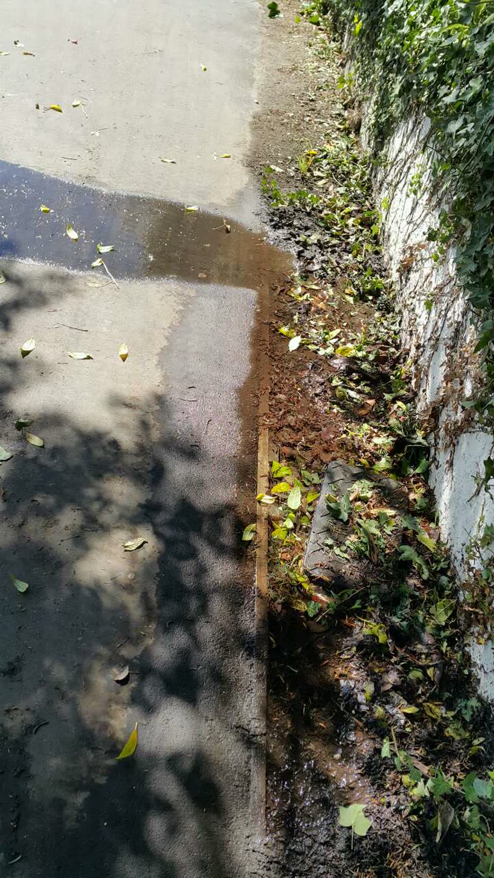 The photograph attached to this wastewater/stormwater report
