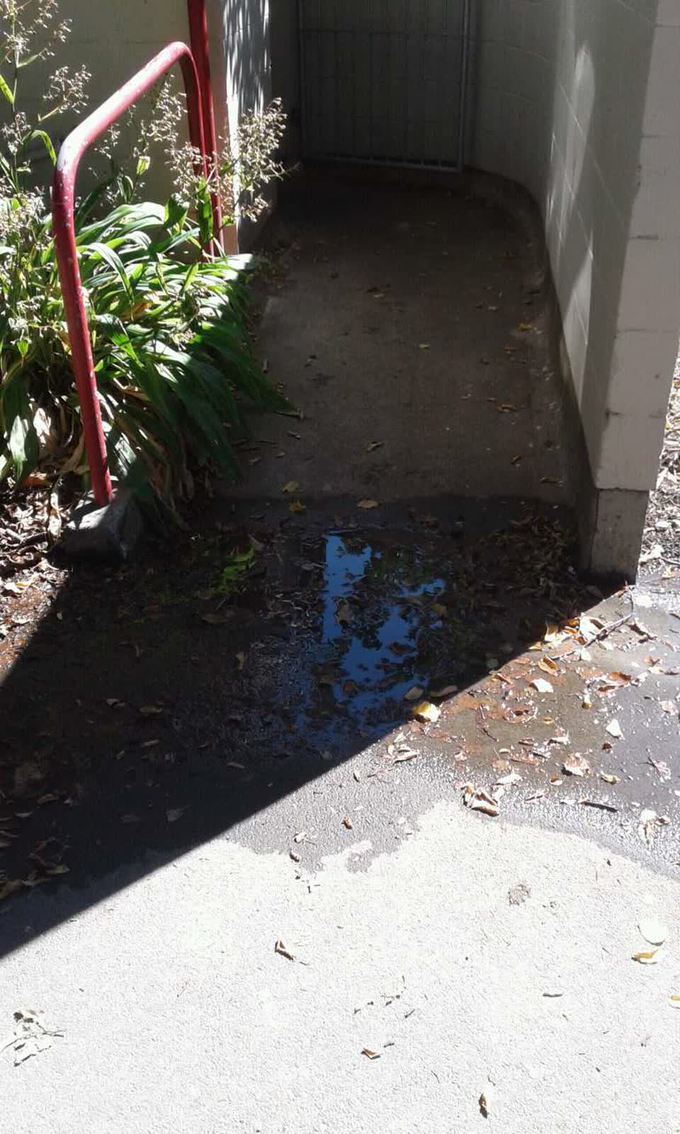 The photograph attached to this water supply report