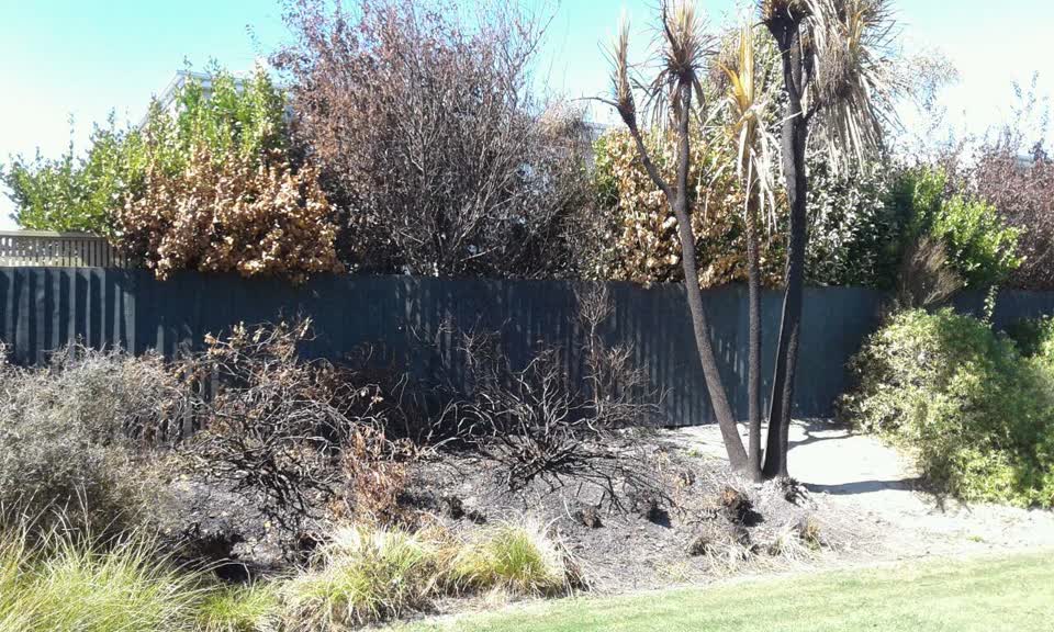 The photograph attached to this parks report