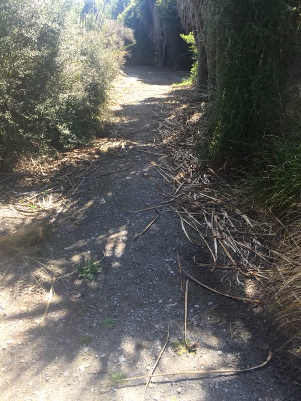 The photograph attached to this parks report