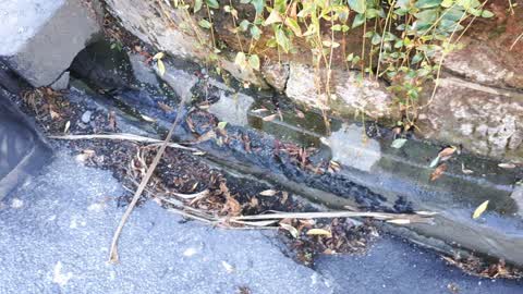 Water Supply — a report photo