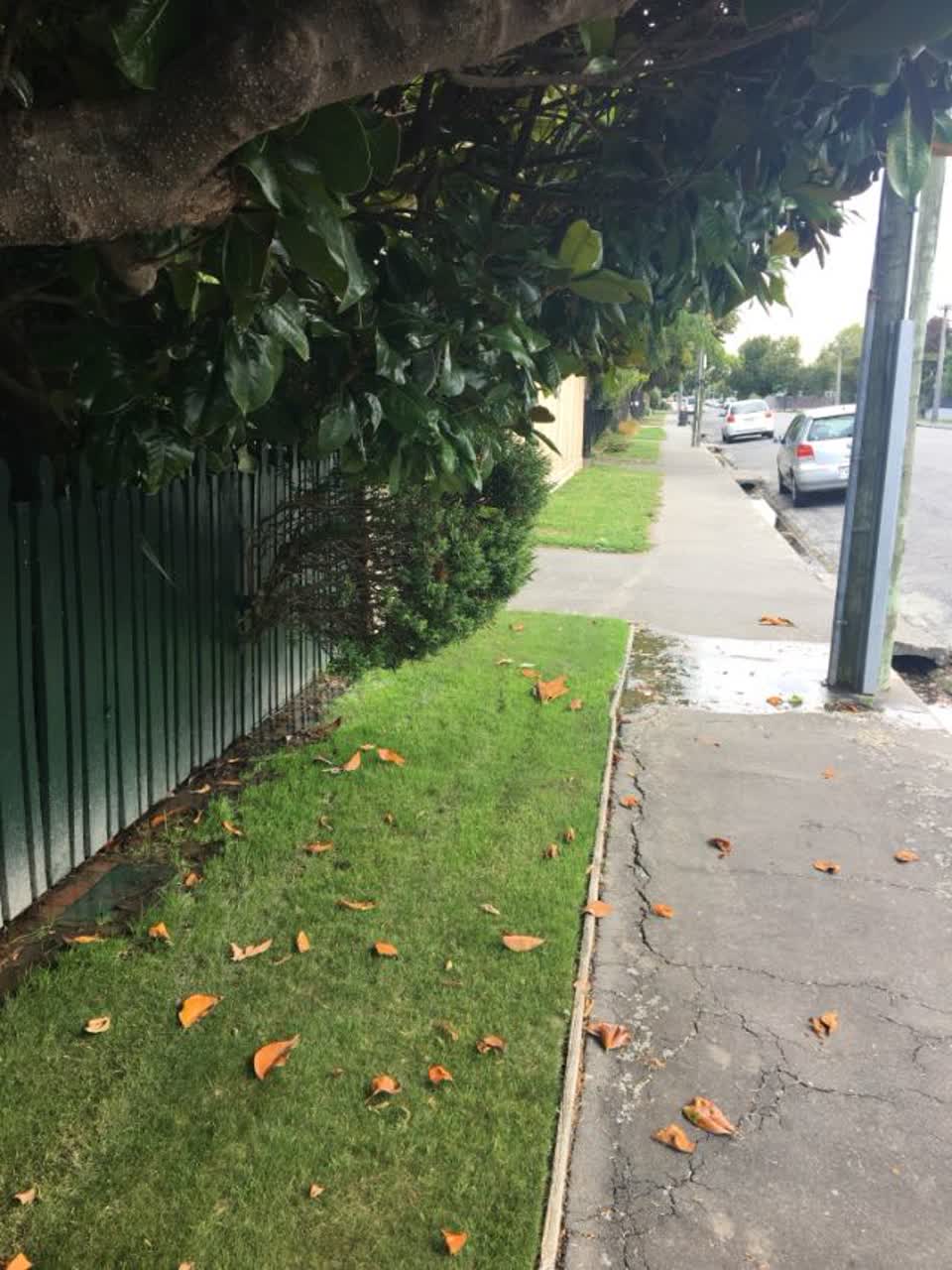 The photograph attached to this water supply report