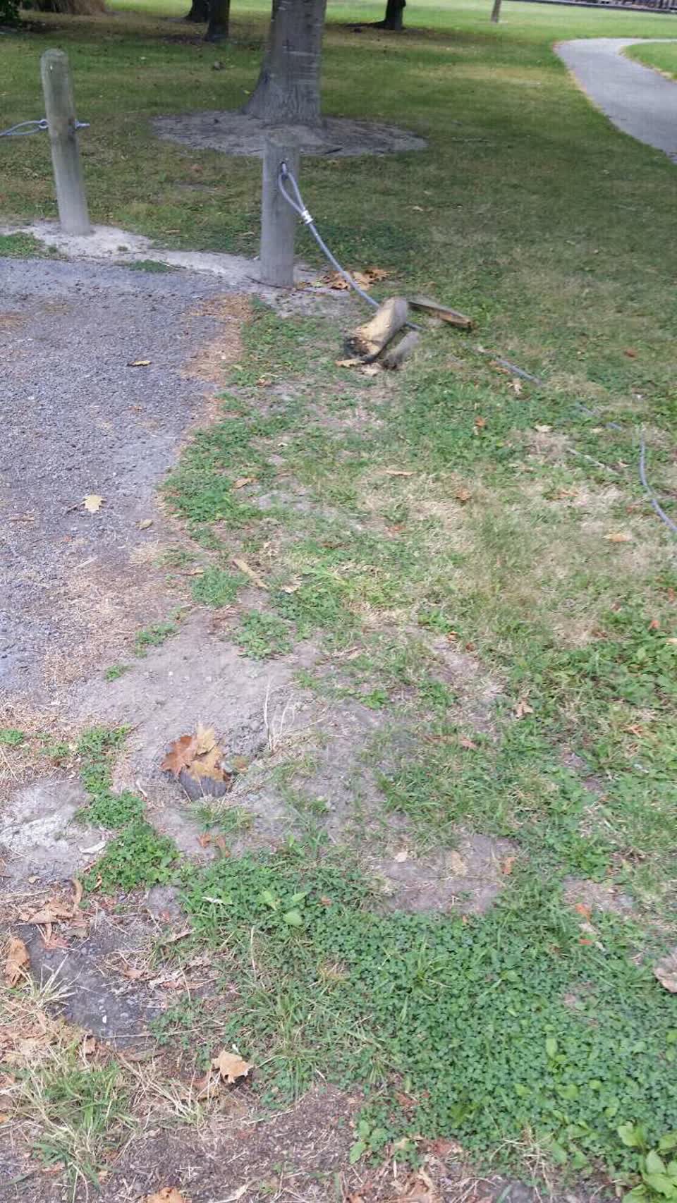 The photograph attached to this parks report
