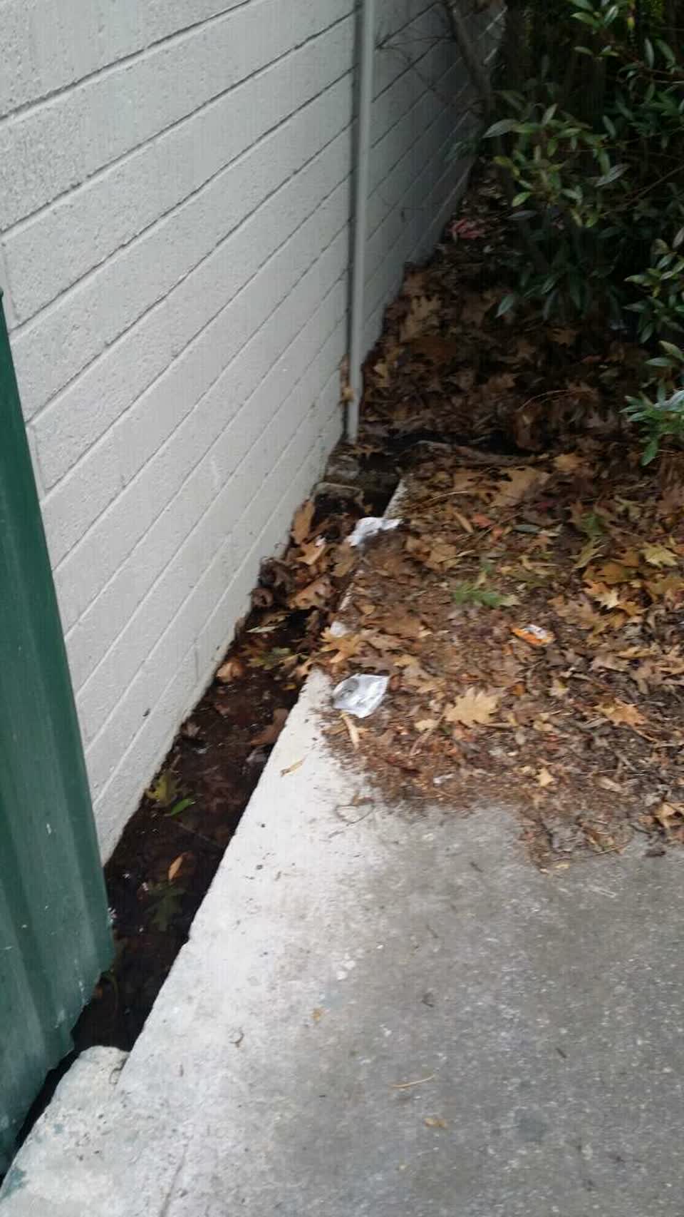 The photograph attached to this water supply report