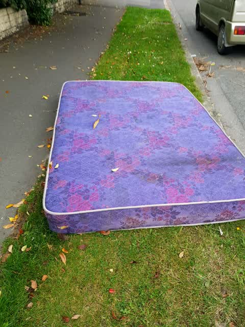 Rubbish/Recycling, a report photo
